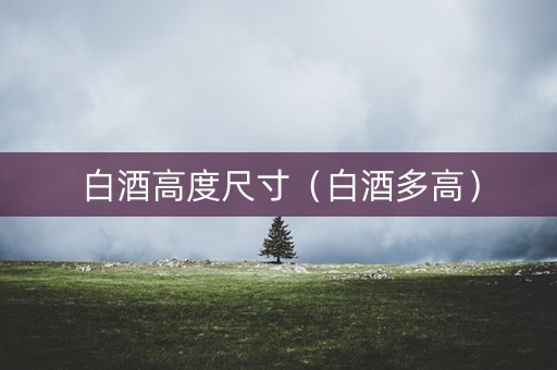 白酒高度尺寸（白酒多高）