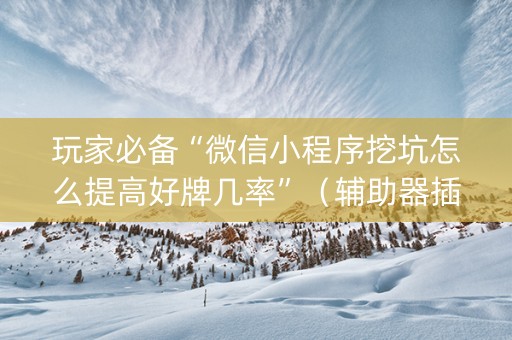 玩家必备“微信小程序挖坑怎么提高好牌几率”（辅助器插件)