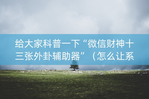 给大家科普一下“微信财神十三张外卦辅助器”（怎么让系统给你发好牌)