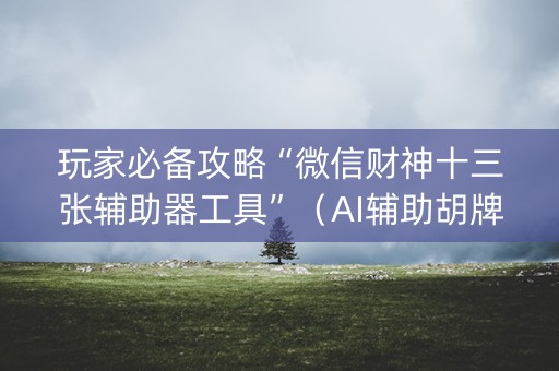 玩家必备攻略“微信财神十三张辅助器工具”（AI辅助胡牌规则)
