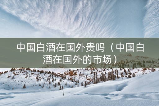 中国白酒在国外贵吗（中国白酒在国外的市场）