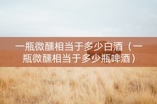 一瓶微醺相当于多少白酒（一瓶微醺相当于多少瓶啤酒）