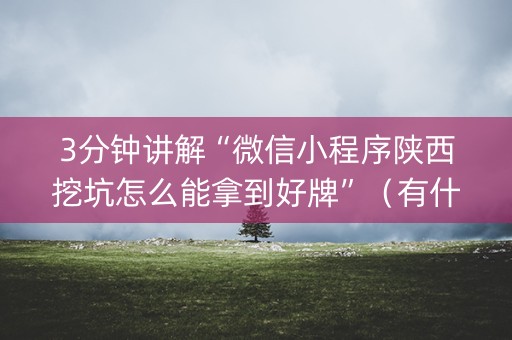 3分钟讲解“微信小程序陕西挖坑怎么能拿到好牌”（有什么诀窍)