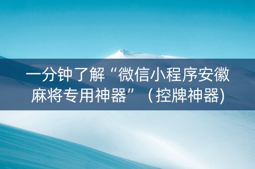 一分钟了解“微信小程序安徽麻将专用神器”（控牌神器)