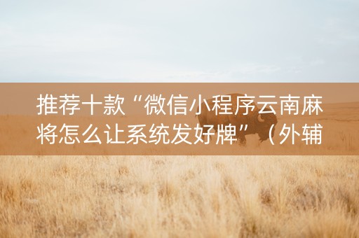 推荐十款“微信小程序云南麻将怎么让系统发好牌”（外辅工具)
