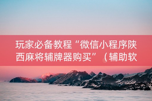 玩家必备教程“微信小程序陕西麻将辅牌器购买”（辅助软件)