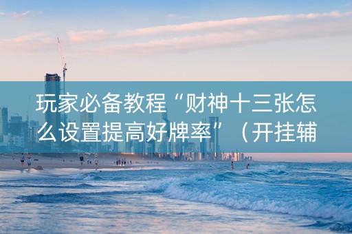 玩家必备教程“财神十三张怎么设置提高好牌率”（开挂辅助脚本)