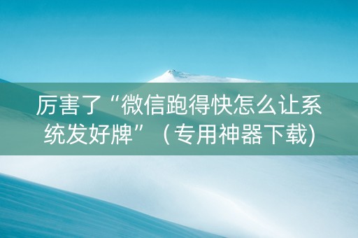 厉害了“微信跑得快怎么让系统发好牌”（专用神器下载)
