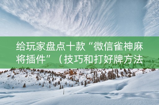 给玩家盘点十款“微信雀神麻将插件”（技巧和打好牌方法)