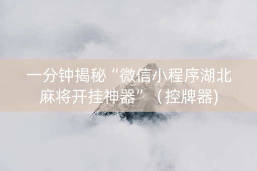 一分钟揭秘“微信小程序湖北麻将开挂神器”（控牌器)