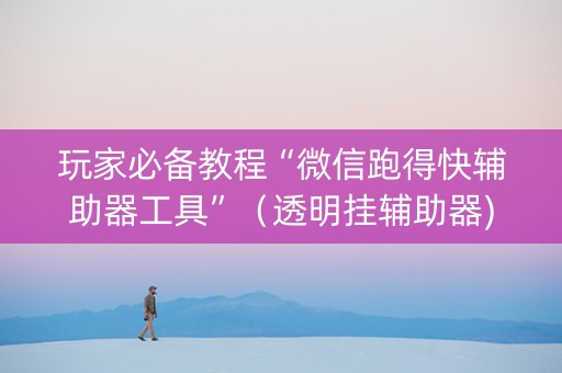 玩家必备教程“微信跑得快辅助器工具”（透明挂辅助器)