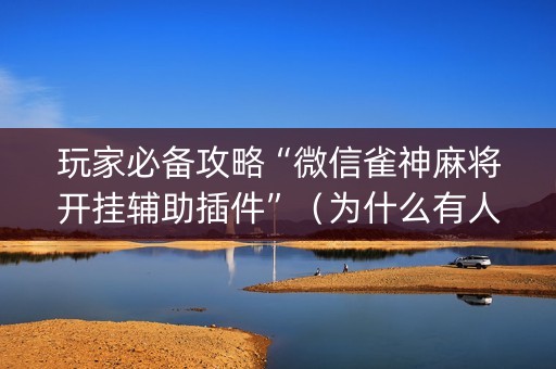玩家必备攻略“微信雀神麻将开挂辅助插件”（为什么有人一直赢)