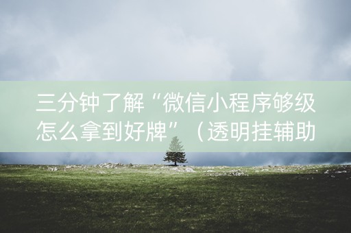 三分钟了解“微信小程序够级怎么拿到好牌”（透明挂辅助器)