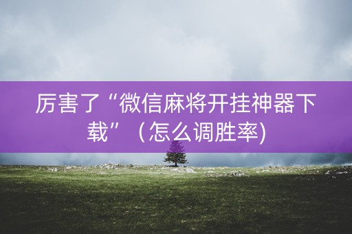 厉害了“微信麻将开挂神器下载”（怎么调胜率)