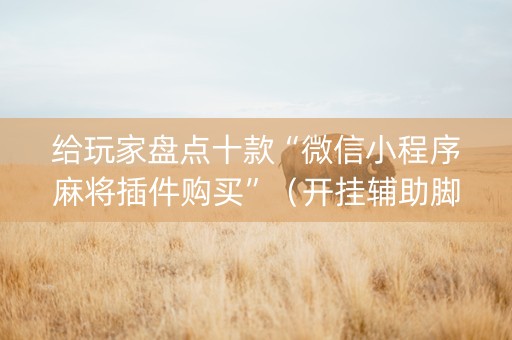 给玩家盘点十款“微信小程序麻将插件购买”（开挂辅助脚本)