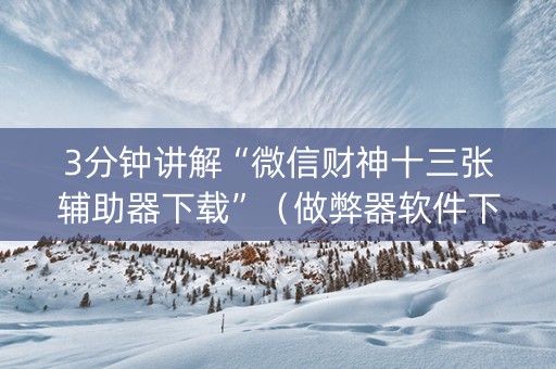 3分钟讲解“微信财神十三张辅助器下载”（做弊器软件下载)