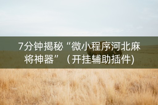 7分钟揭秘“微小程序河北麻将神器”（开挂辅助插件)