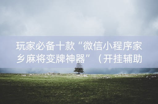 玩家必备十款“微信小程序家乡麻将变牌神器”（开挂辅助插件)