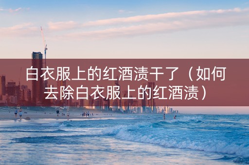 白衣服上的红酒渍干了（如何去除白衣服上的红酒渍）