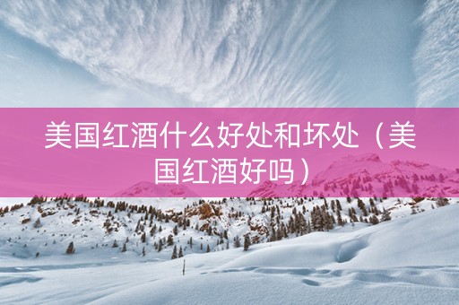 美国红酒什么好处和坏处（美国红酒好吗）