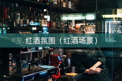 红酒氛围（红酒场景）