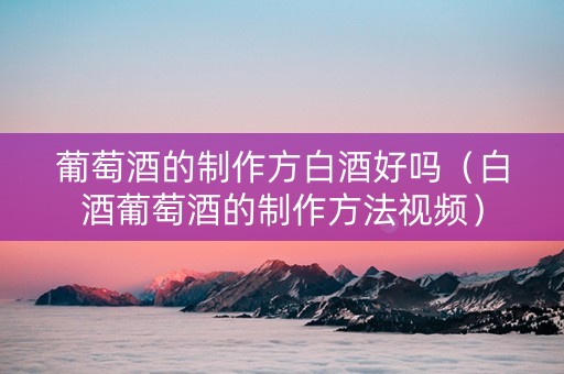 葡萄酒的制作方白酒好吗（白酒葡萄酒的制作方法视频）