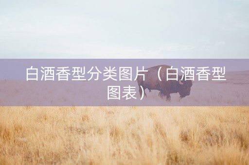 白酒香型分类图片（白酒香型图表）