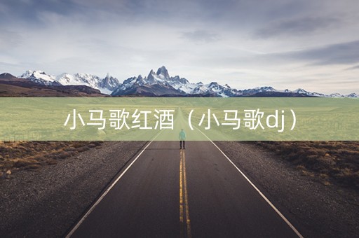 小马歌红酒（小马歌dj）