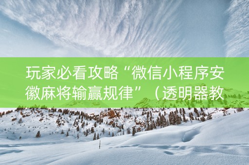玩家必看攻略“微信小程序安徽麻将输赢规律”（透明器教程)