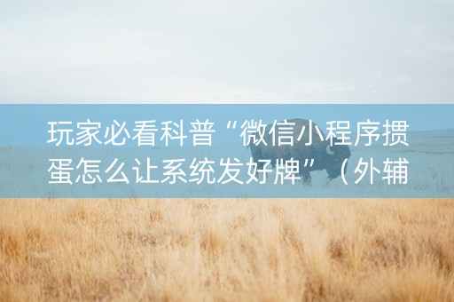 玩家必看科普“微信小程序掼蛋怎么让系统发好牌”（外辅工具)