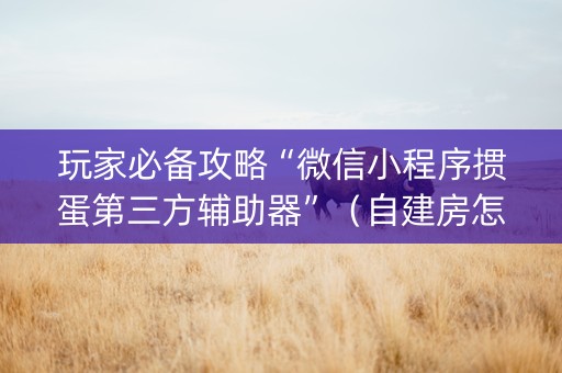 玩家必备攻略“微信小程序掼蛋第三方辅助器”（自建房怎么赢)