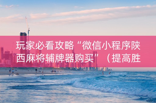 玩家必看攻略“微信小程序陕西麻将辅牌器购买”（提高胜率技巧)