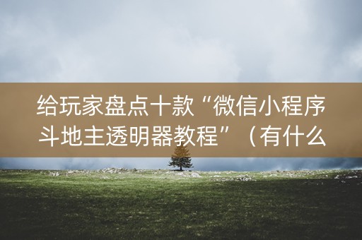 给玩家盘点十款“微信小程序斗地主透明器教程”（有什么诀窍)
