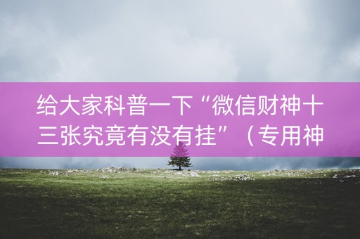给大家科普一下“微信财神十三张究竟有没有挂”（专用神器)