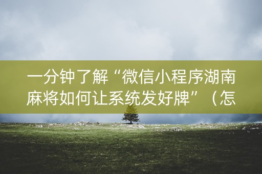 一分钟了解“微信小程序湖南麻将如何让系统发好牌”（怎么让系统给你发好牌)