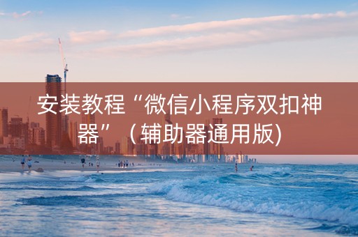 安装教程“微信小程序双扣神器”（辅助器通用版)