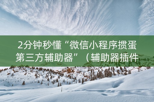 2分钟秒懂“微信小程序掼蛋第三方辅助器”（辅助器插件)