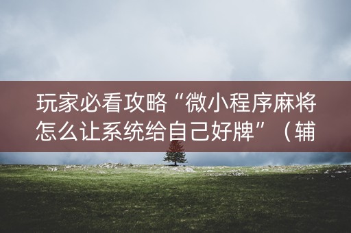 玩家必看攻略“微小程序麻将怎么让系统给自己好牌”（辅助软件)