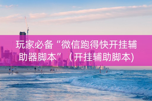玩家必备“微信跑得快开挂辅助器脚本”（开挂辅助脚本)