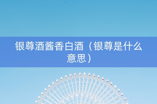 银尊酒酱香白酒（银尊是什么意思）