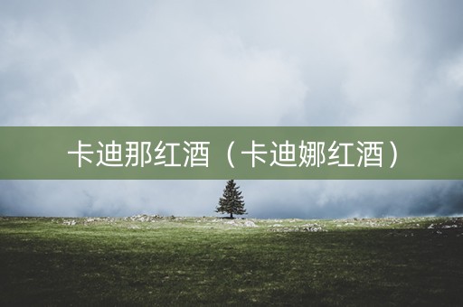 卡迪那红酒（卡迪娜红酒）