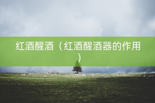 红酒醒酒（红酒醒酒器的作用）