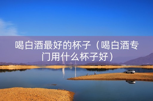 喝白酒最好的杯子（喝白酒专门用什么杯子好）