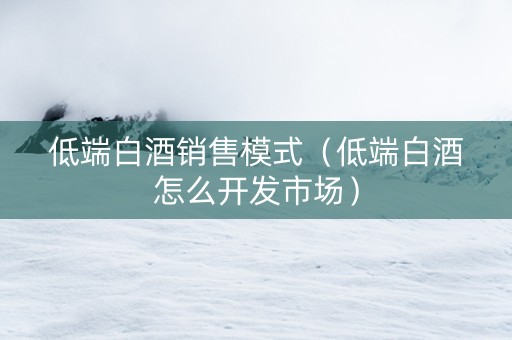 低端白酒销售模式（低端白酒怎么开发市场）