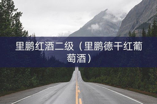 里鹏红酒二级（里鹏德干红葡萄酒）