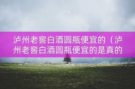 泸州老窖白酒圆瓶便宜的（泸州老窖白酒圆瓶便宜的是真的吗）