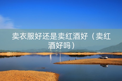 卖衣服好还是卖红酒好（卖红酒好吗）