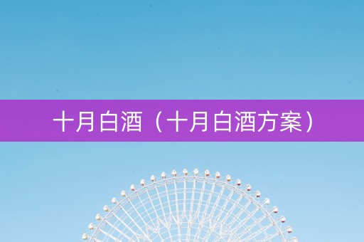 十月白酒（十月白酒方案）