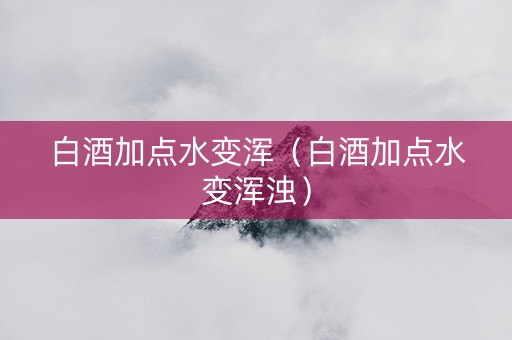 白酒加点水变浑（白酒加点水变浑浊）