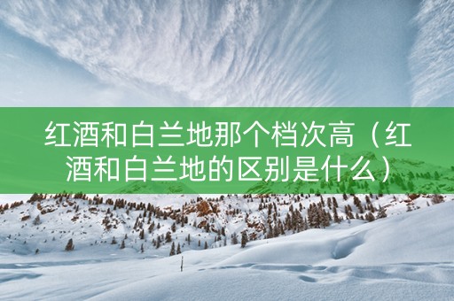 红酒和白兰地那个档次高（红酒和白兰地的区别是什么）